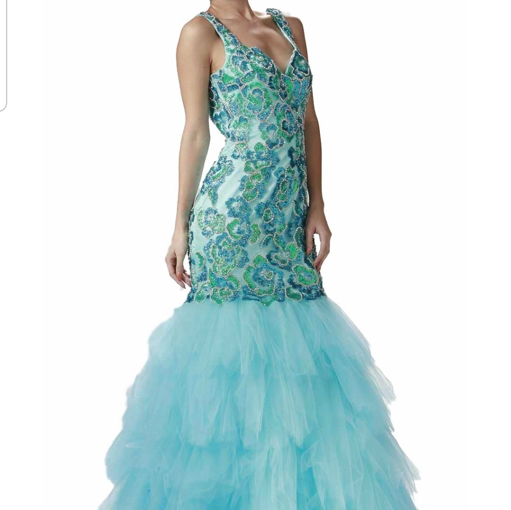 Prom Dress tulle gown